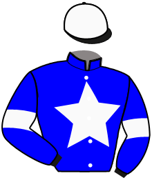Casaque de MISTER MEDLEY