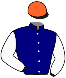 Casaque de MARIZONA