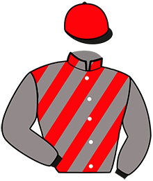 Casaque de MILLENIUM AVIS
