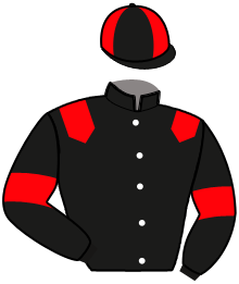 Casaque de MIKADO DES CRIERES