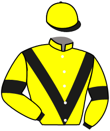 Casaque de LADY DU BRIZAIS