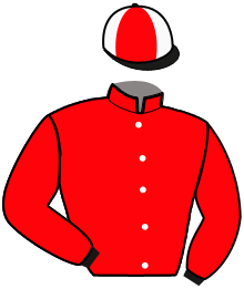 Casaque de GAGNANT DE BRIKVIL
