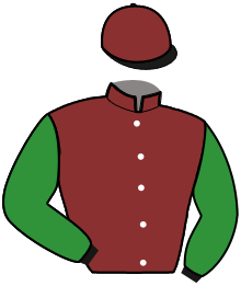 Casaque de OPEN D'OAM