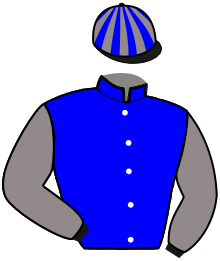 Casaque de NEVERSOIS