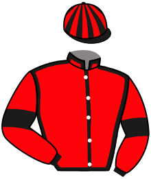 Casaque de GALADIN