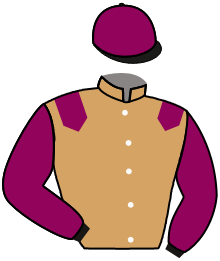 Casaque de ARKADY