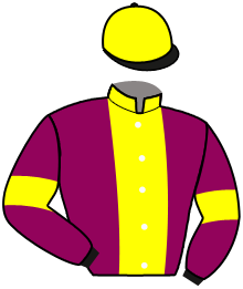 Casaque de ASHALEEA DU NIL