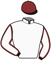 Casaque de LAMATTA