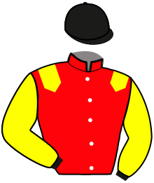 Casaque de LOUIS QUATORZE