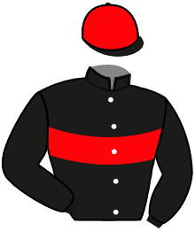 Casaque de MY WINNER RUSH