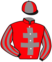 Casaque de MEFIANCE DU NOYER