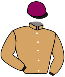 Casaque de HUNTRIX