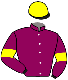 Casaque de KING RETURN
