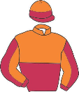 Casaque de THE BEST BLOOD HORSE
