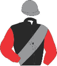 Casaque de TIGRE DE BENGALA