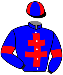 Casaque de ILESTBO DE HOUELLE