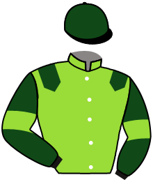 Casaque de ELEPHANT VERT