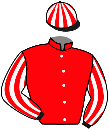 Casaque de SHE COMMANDS