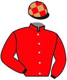 Casaque de MAMZELLE DES PLANS