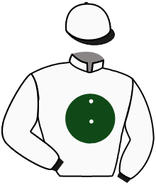 Casaque de TEXAS SUN
