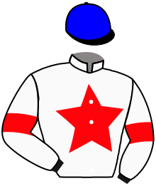 Casaque de SHAMSOUN