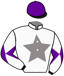 Casaque de HONG KONG STAR