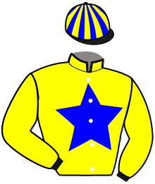 Casaque de JARVIS
