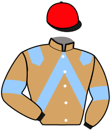 Casaque de NOTORIOUS OKINA