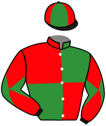 Casaque de GRECIAN LIGHTNING