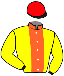 Casaque de NEGREVILLE