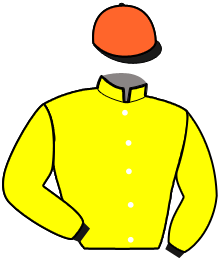 Casaque de MERLIN SI