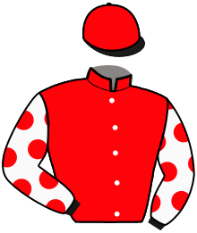 Casaque de NIGLO DE BELLANDE