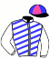 Casaque de THE GREAT JAZZ
