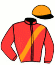 Casaque de DERBY WINNER